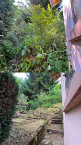 Photo de galerie - Avant/Après chantier d’entretien