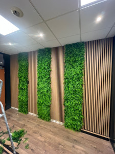 Photo de galerie - Pose de tasseaux -mur végétale - options led sur végétal 