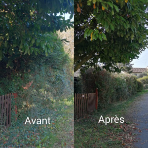 Photo de galerie - Avant/Après