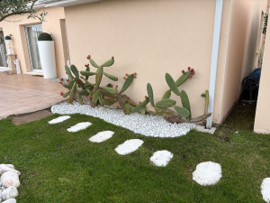 Photo de galerie - Création de massif avec bâche en géotextile