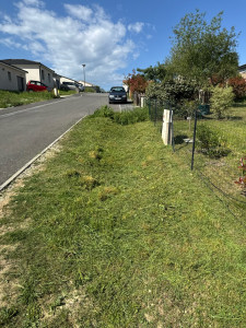 Photo de galerie - Tonte et entretien du terrain