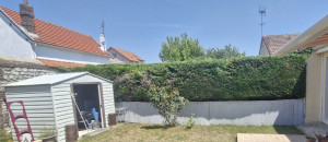 Photo de galerie - Taille de haie de thuya