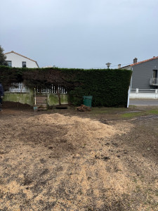 Photo de galerie - Elagage et coupe d'arbres