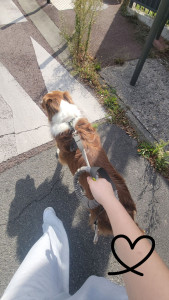 Photo de galerie - Garde de oackley 