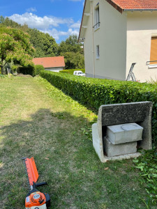Photo de galerie - Taille d’une haie de laurier