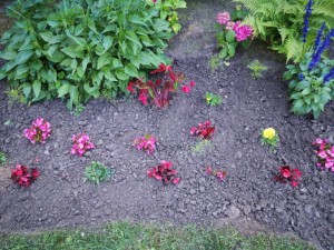 Photo de galerie - Jardinier
