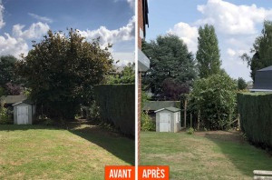 Photo de galerie - Taille de haie 