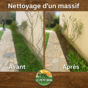 Photo de galerie - Un coup de propre 