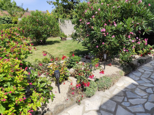 Photo de galerie - Entretien massif, ajout de paillage et tonte 