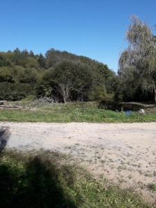 Photo de galerie - Nettoyage étang 