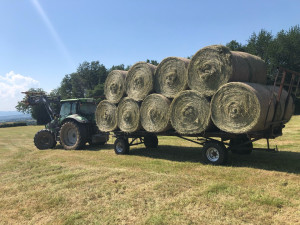 Photo de galerie - Ouvert à toute demande agricole, bac pro CGEA