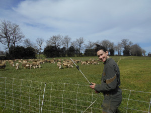 Photo de galerie - Pose de filets, parc pour brebis