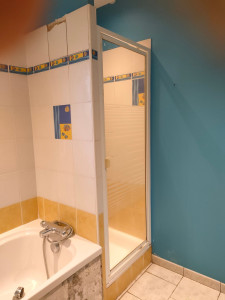 Photo de galerie - Salle de bain avant 