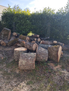 Photo de galerie - Débitage du fut pour votre bois de chauffage ? ou évacuation possible 