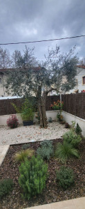 Photo de galerie - Paysagiste - Aménagement du jardin