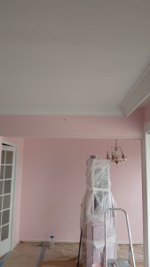 Photo de galerie - Peinture 