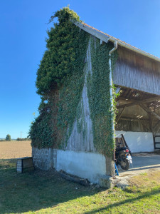 Photo de galerie - Entretien des espaces verts