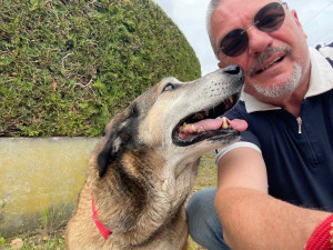 Photo de galerie - Garde chien