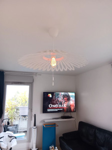 Photo de galerie - Fixations de télé ? au mur 