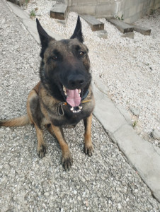 Photo de galerie - Zest garde et rééducation 