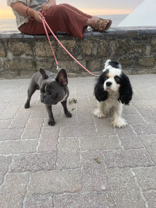 Photo de galerie - Yuki et Logan