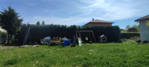 Photo de galerie - Taille de haie de cyprès !