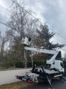 Photo de galerie - Abattage de 3 boulots avec la nacelle 