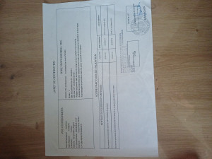 Photo de galerie - Diplômé ADVF 
ASSISTANTE DE VIE AUX FAMILLES 