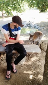 Photo de galerie - Parc aux kangourou (qui ne sont pas des kangourou)
