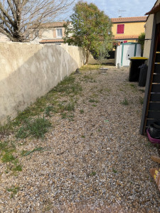 Photo de galerie - Tonte de pelouse - Débroussaillage