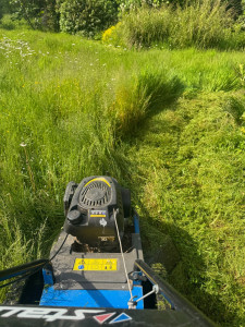 Photo de galerie - Un exemple de mon travail