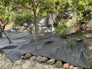 Photo de galerie - Paysagiste - Aménagement du jardin