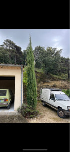 Photo de galerie - Taille de haies et d'arbustes