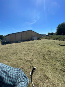 Photo de galerie - Tonte de pelouse - Débroussaillage