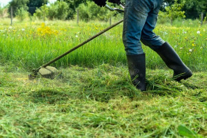 Photo de galerie - Des espaces extérieurs propres et entretenus pour valoriser votre jardin toute l’année.