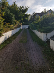 Photo de galerie - Tonte de pelouse - Débroussaillage