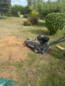 Photo de galerie - Rognage de souche toute taille 