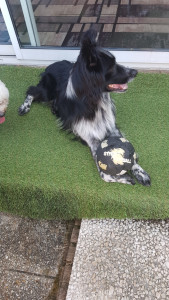 Photo de galerie - Partie de ballon