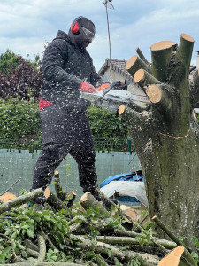 Photo de galerie - Paysagiste - Aménagement du jardin