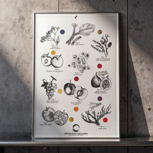 Photo de galerie - Graphisme - Création flyer - plaquette 