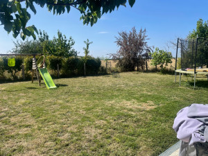 Photo de galerie - Tonte de pelouse - Débroussaillage