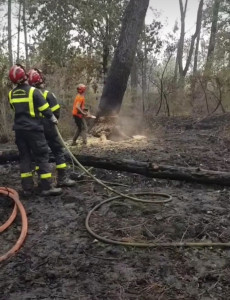Photo de galerie - Abattage feu de forêt soutien pour les pompiers 