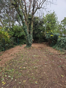 Photo de galerie - Paysagiste - Aménagement du jardin