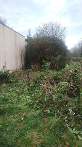 Photo de galerie - Coupe +++