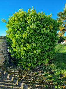 Photo de galerie - Avant