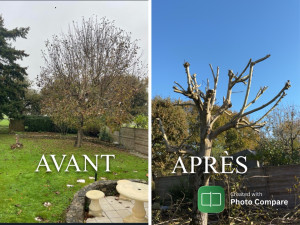 Photo de galerie - Avant après