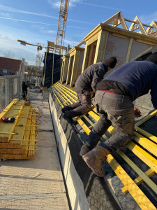 Photo de galerie - Litonage toiture en tuile plate 