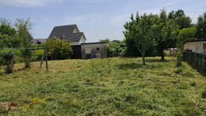 Photo de galerie - Débroussaillage 