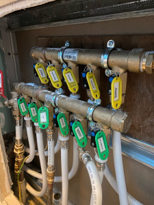 Photo de galerie - Identification d’une nourrice sanitaire 