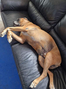 Photo de galerie - James